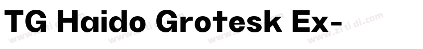 TG Haido Grotesk Ex字体转换